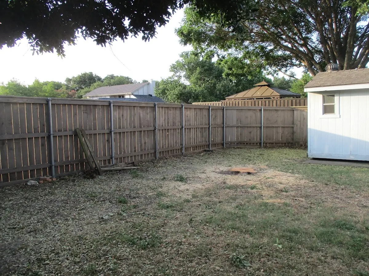Cleared yard after professional tree removal in New Richmond