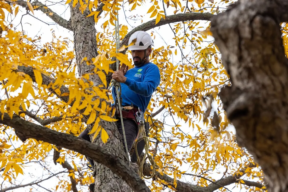 Skilled Storm Damage Cleanup crew working in New Richmond