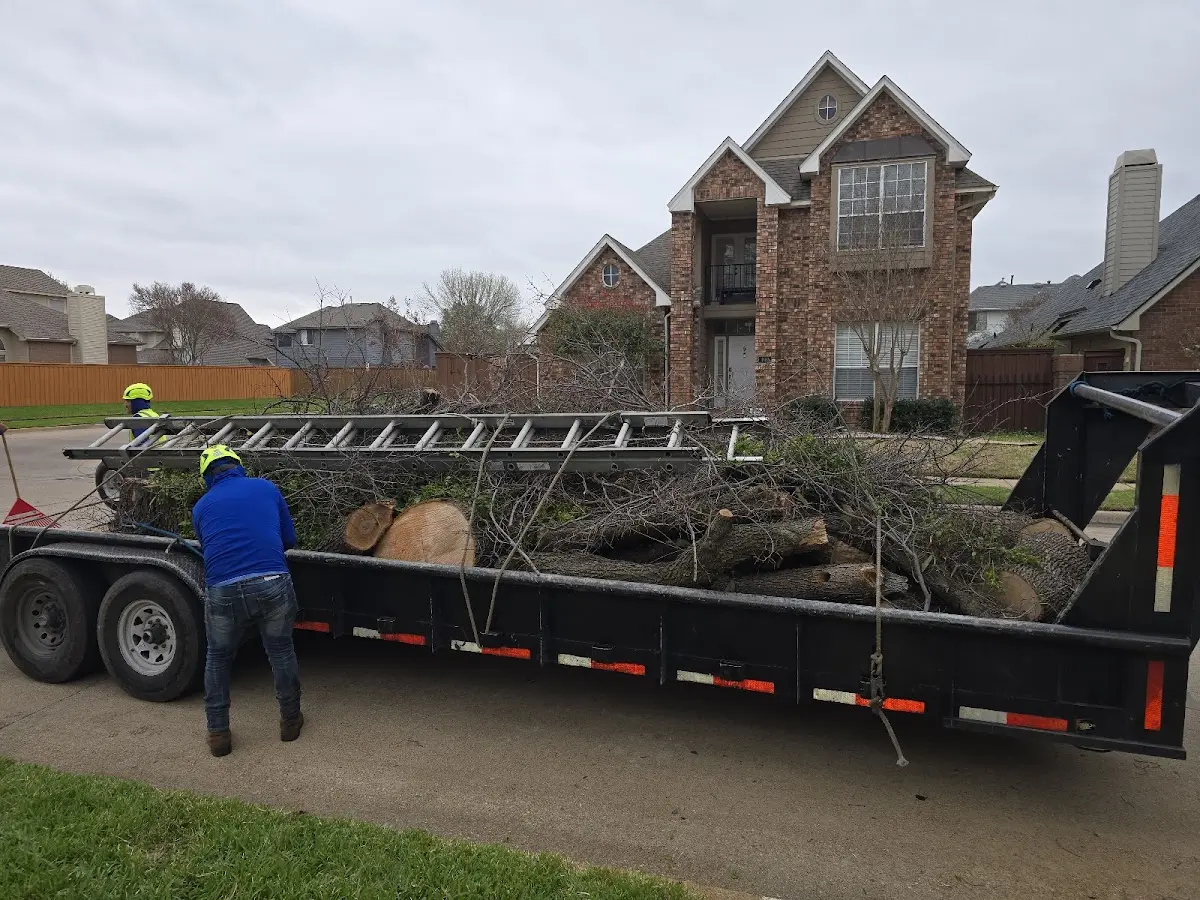 Expert Tree Pest Control with proper safety equipment in New Richmond